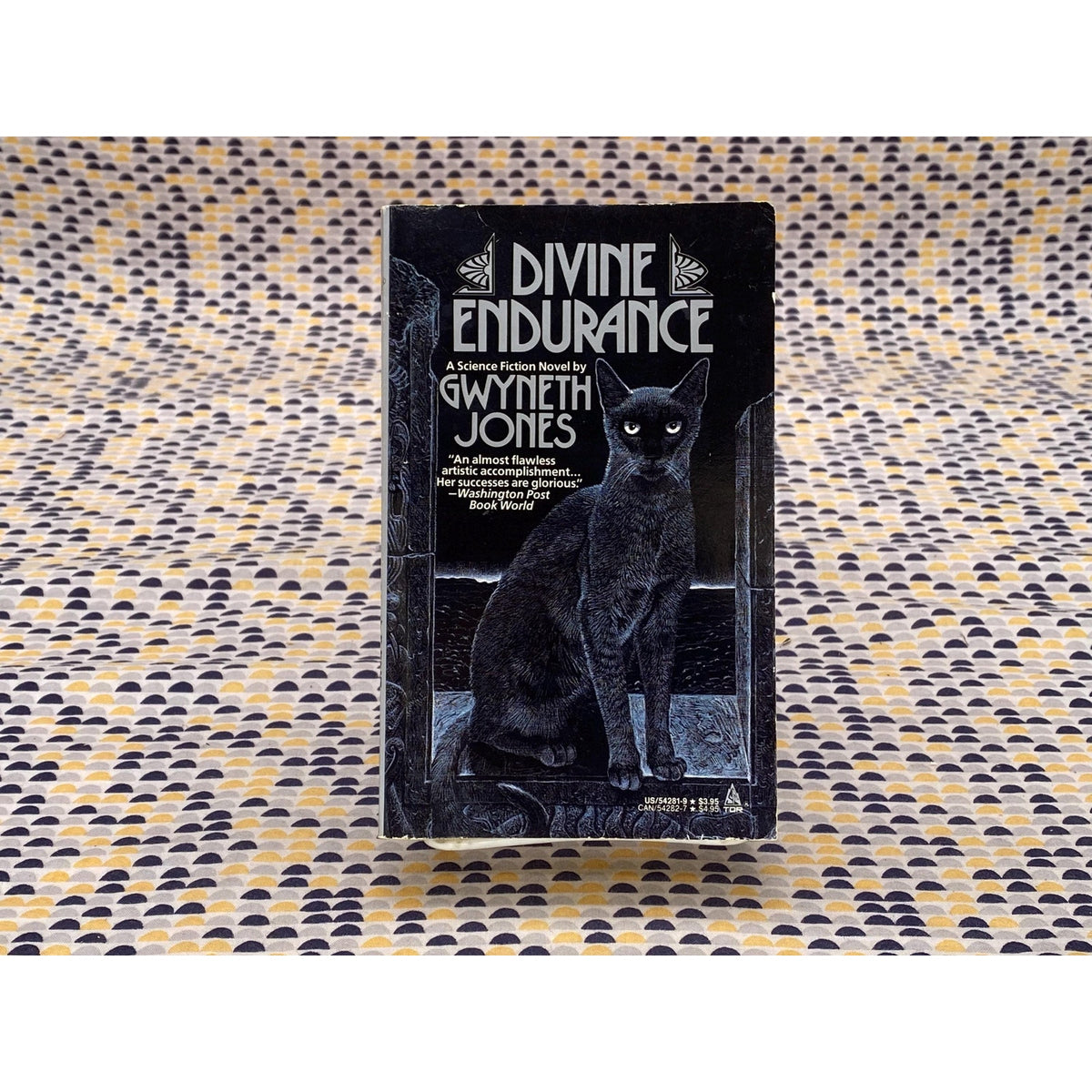 Divine Endurance - Gwyneth Jones - Vintage Paperback Book - Tor Edition
