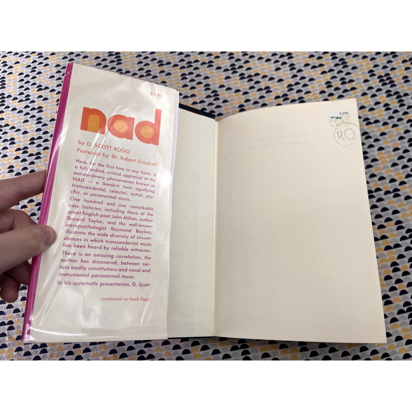 Nad: The Study of Some Unusual " Other-World " Experiences - D. Scott Rogo - University Books - Hardcover