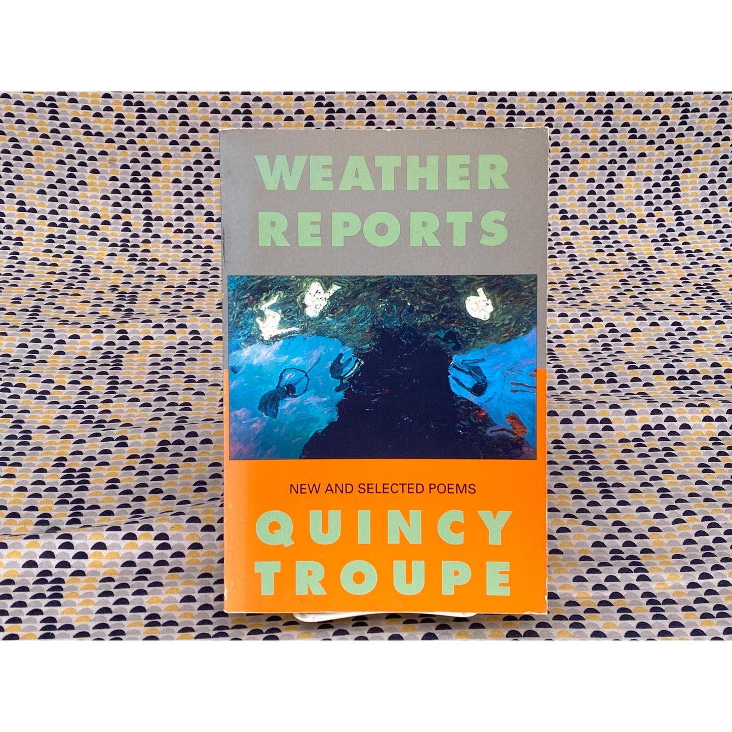 Weather Reports: New And Selected Poems - Quincy Troupe - Vintage Paperback Book - Harlem River Press Edition
