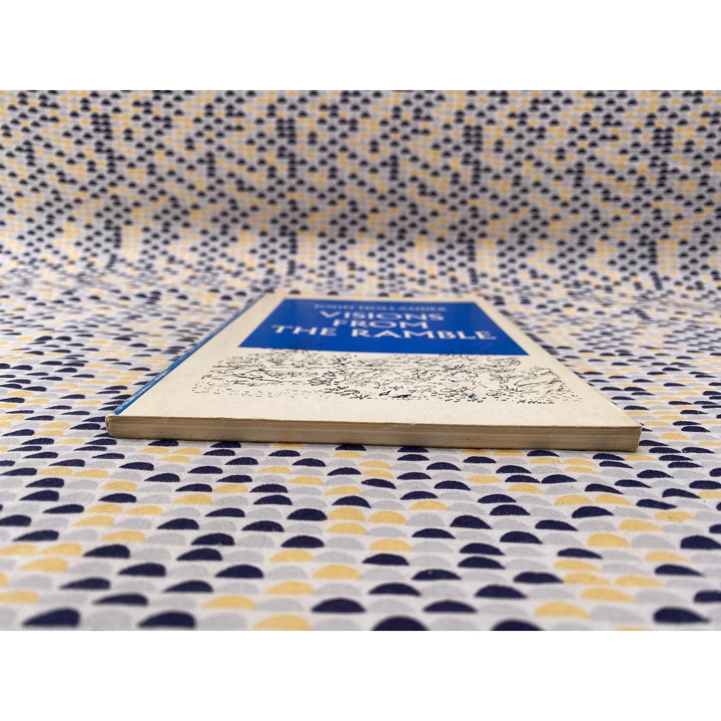 SIGNED - Visions From The Ramble - John Hollander - Atheneum - Paperback