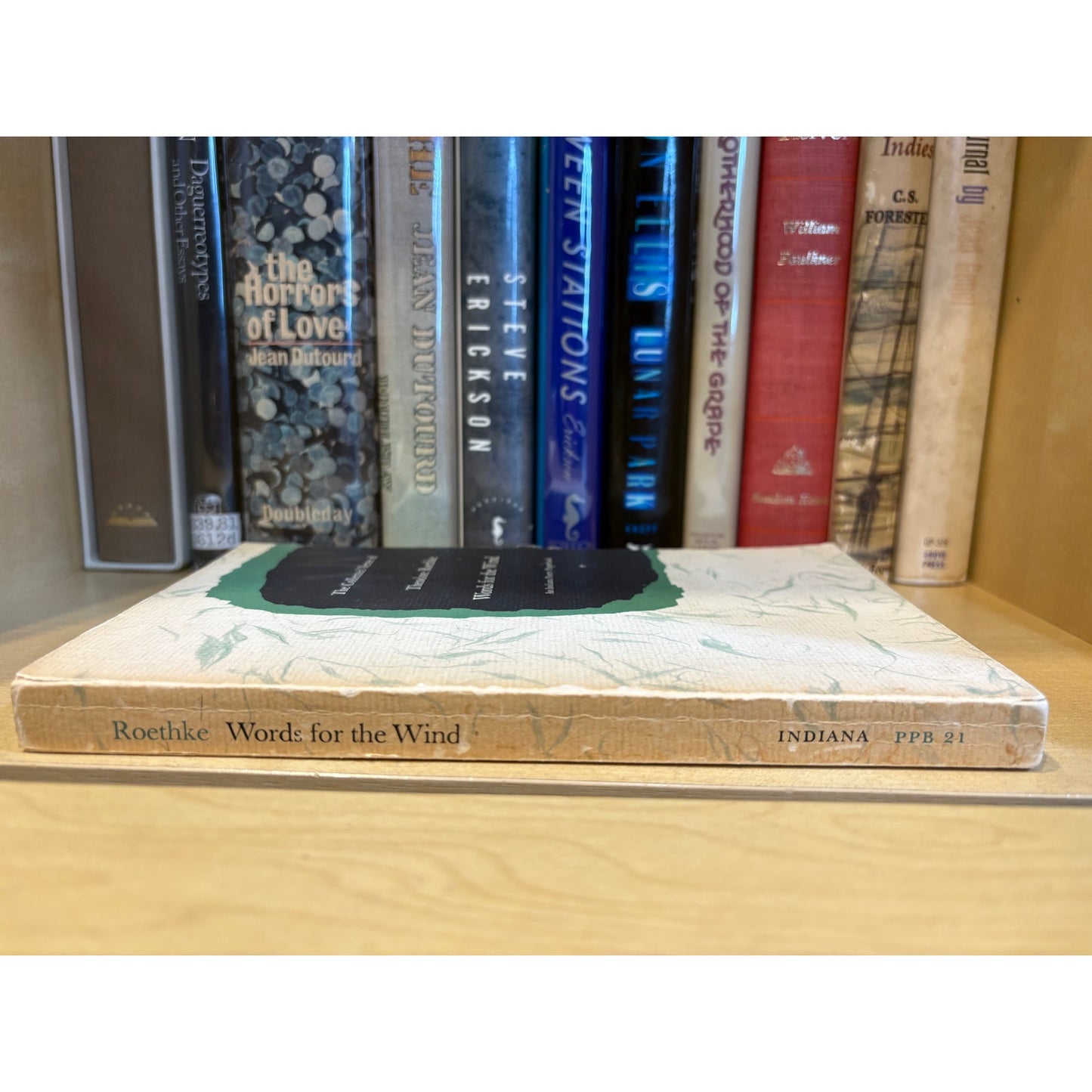 Words for the Wind - Theodore Roethke - Indiana University Press - Paperback