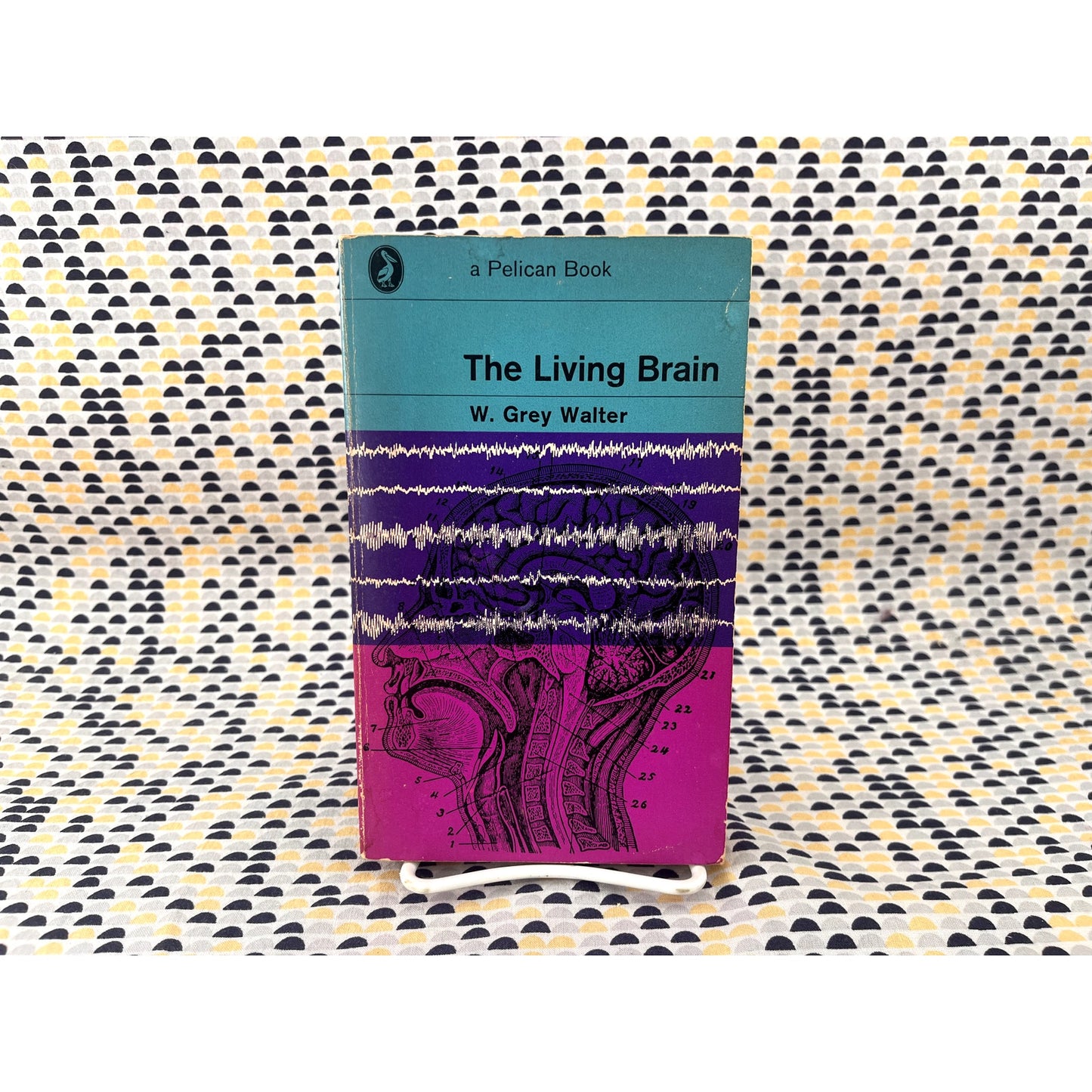 The Living Brain - W. Grey Walter - Pelican Books - Paperback