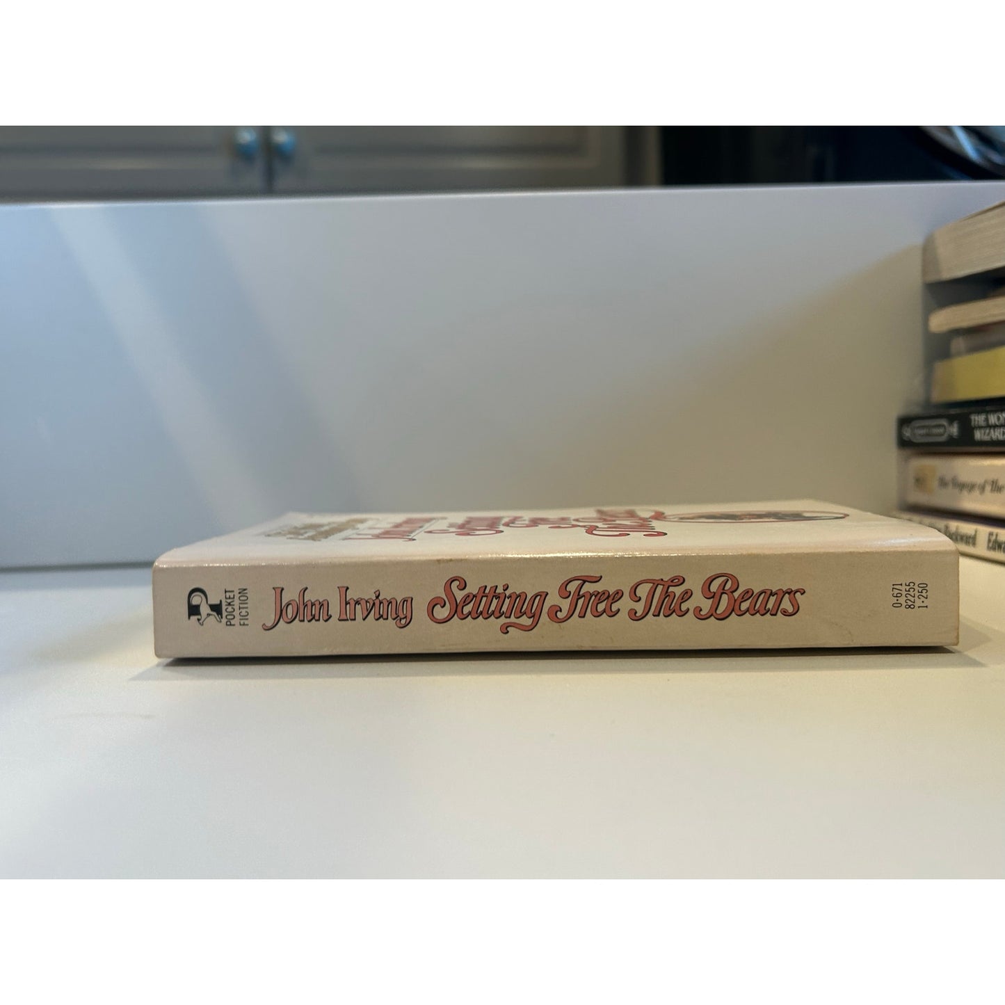 Setting Free The Bears - John Irving - Vintage Paperback - Pocket Edition
