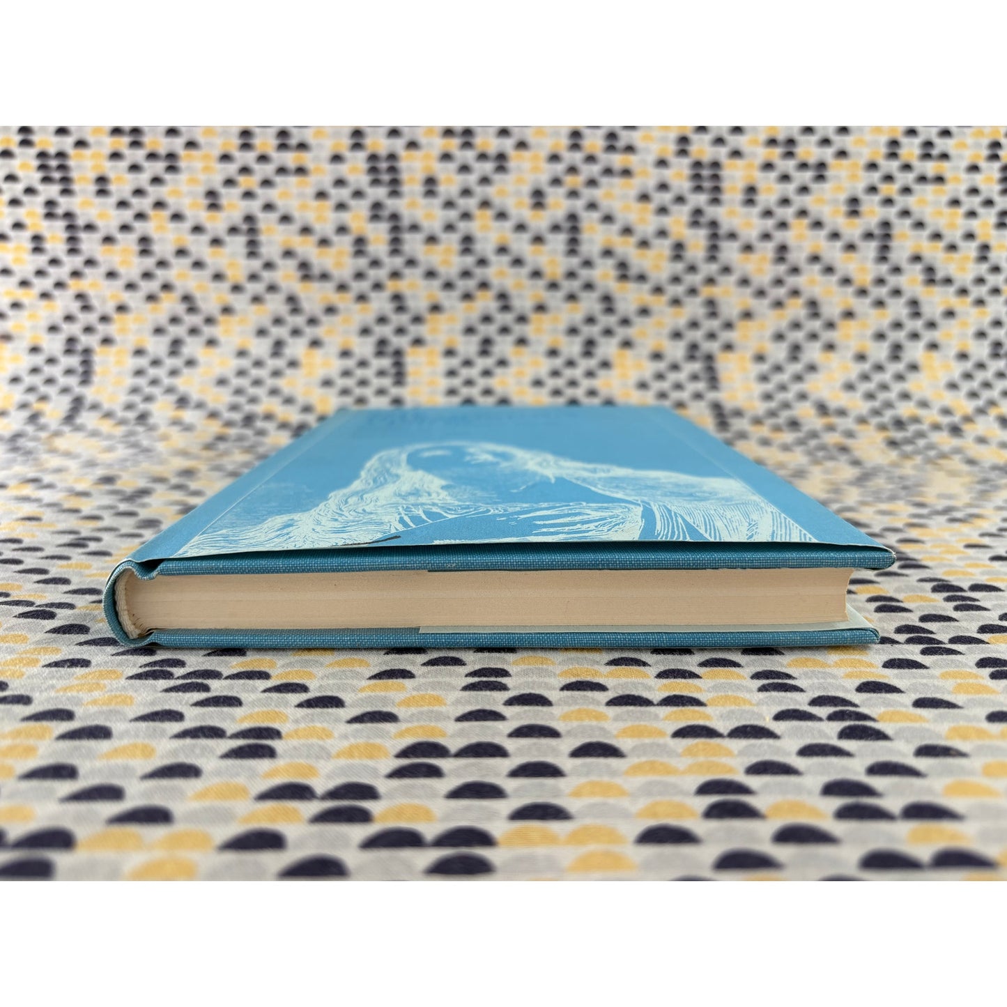 The Harmonious Vision - Studies in Milton's Poetry - Don Cameron Allen - Johns Hopkins - Hardcover