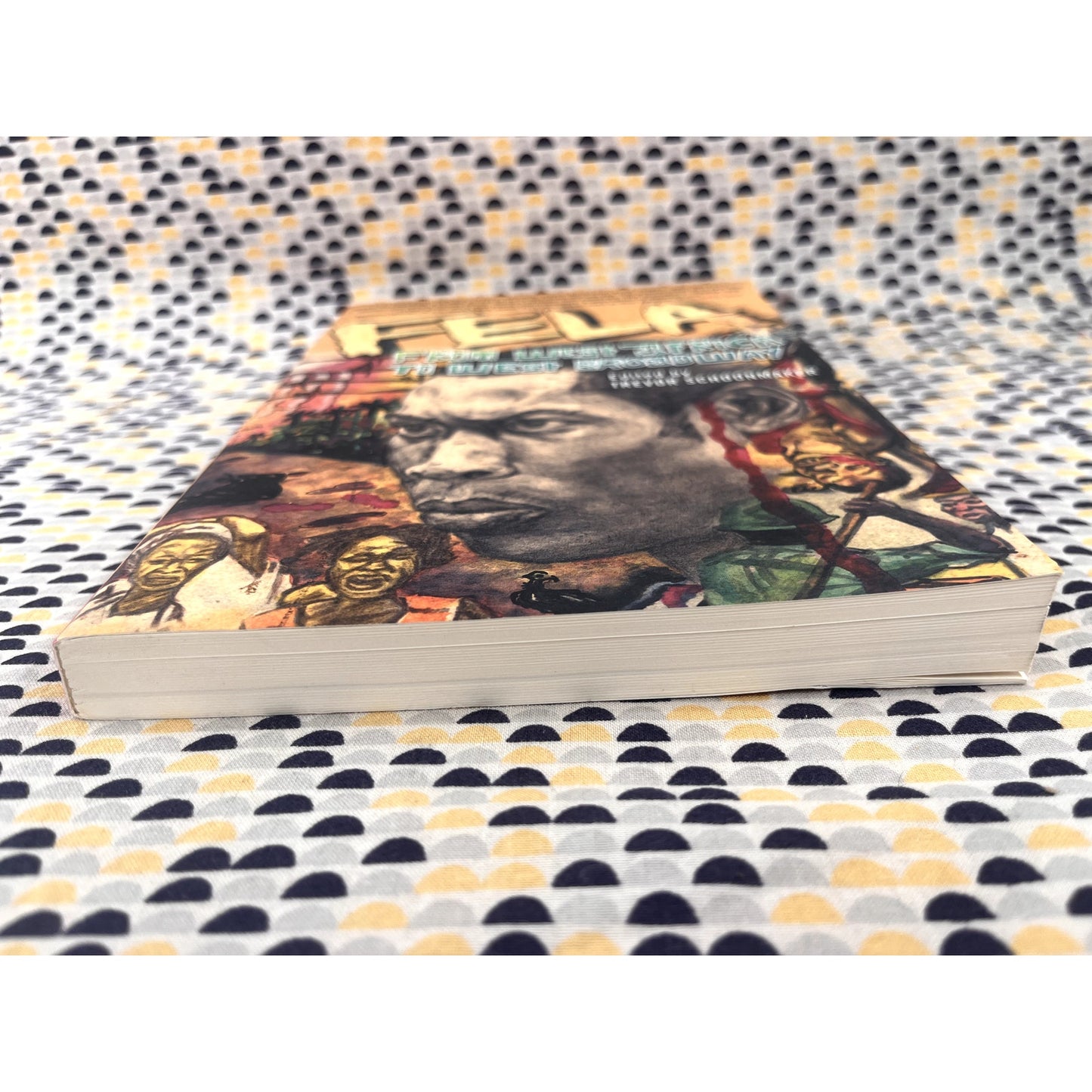 Fela From West Africa to West Broadway - Ed. Trevor Schoonmaker - Palgrave Macmilan Books- Paperback