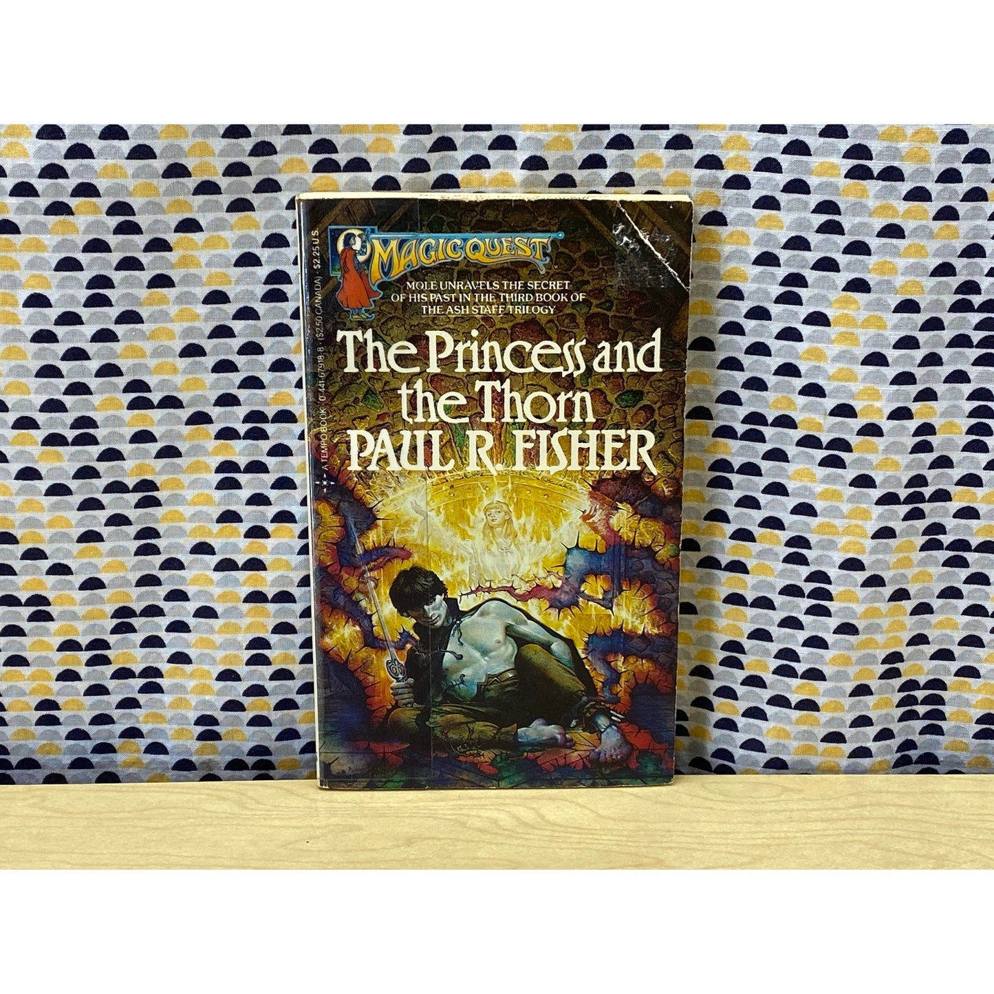 Magic Quest #10 - The Princess and the Thorn - Paul R. Fisher - Tempo Edition