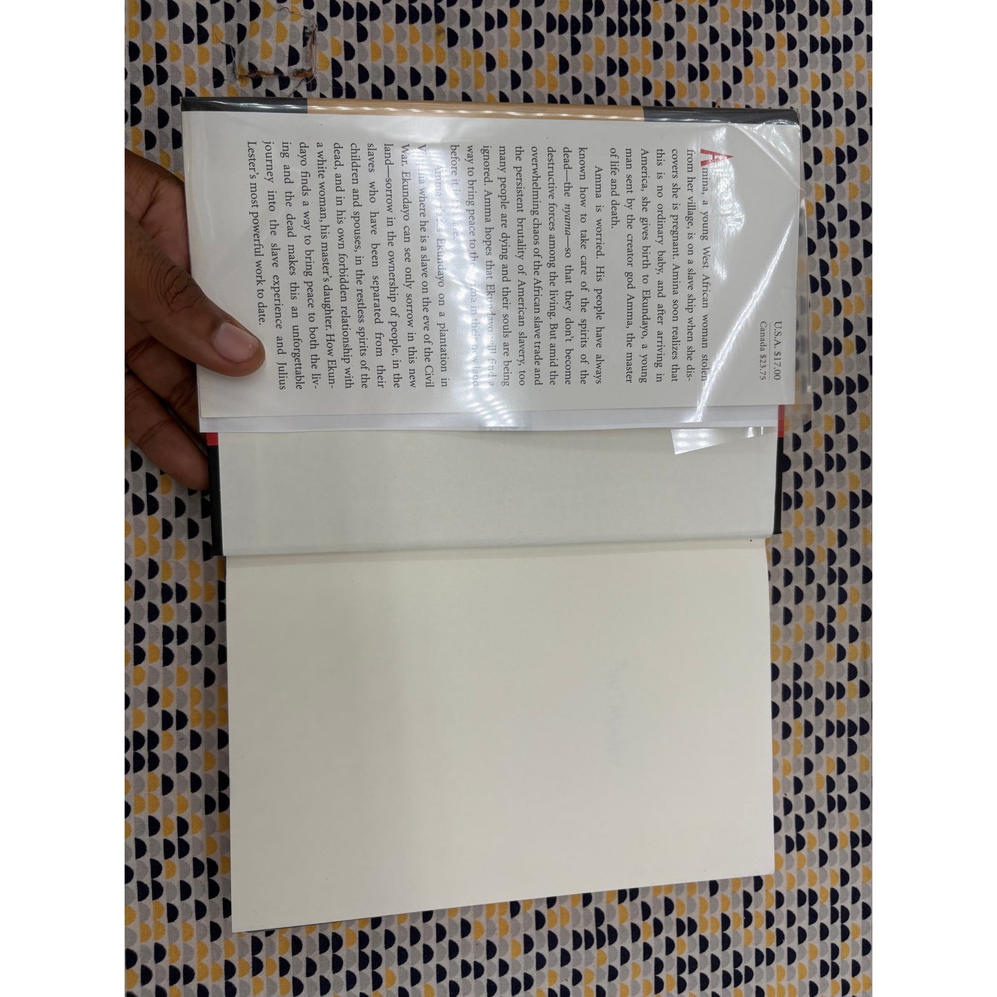 Time's Memory - Julius Lester - Farrar Straus Giroux - Hardcover - 1st Ed