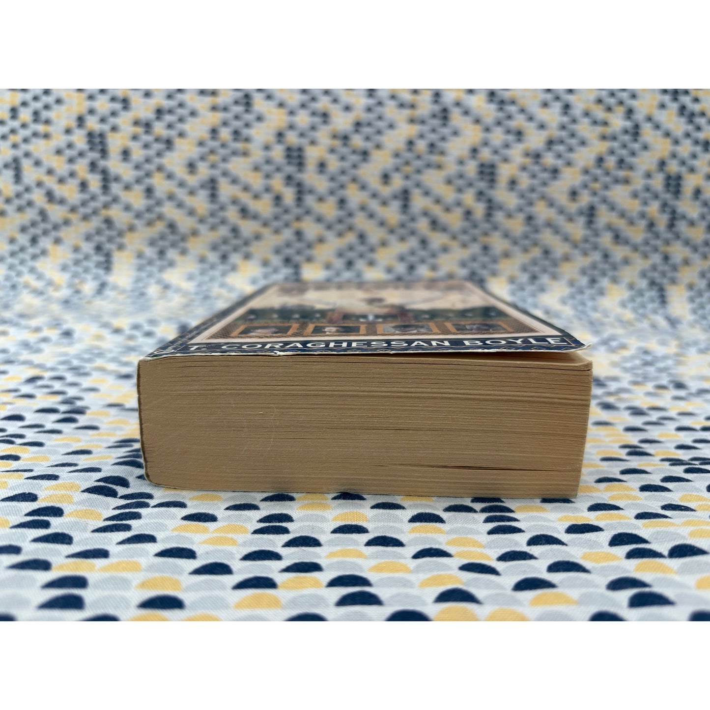 The Road To Wellville - T Coraghessan Boyle - Signet - Paperback