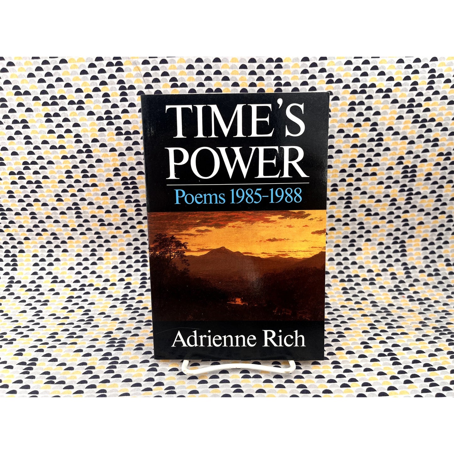 Adrienne Rich - Time's Power - Poems 1985-1988 - Vintage Paperback Book