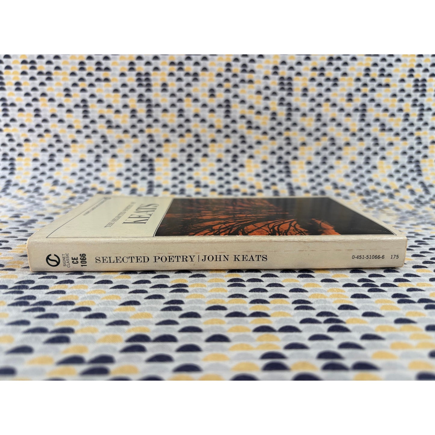 The Selected Poetry of Keats - John Keats - Signet Classic Edition