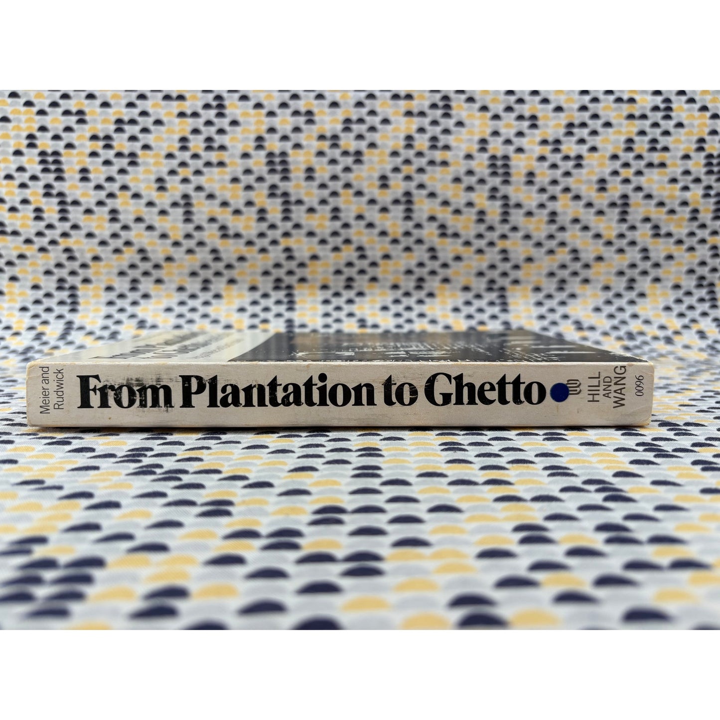 From Plantation To Ghetto: An Interpretive History Of American Negroes - Meier and Rudwick - Vintage Paperback Book - Hill and Wang Edition