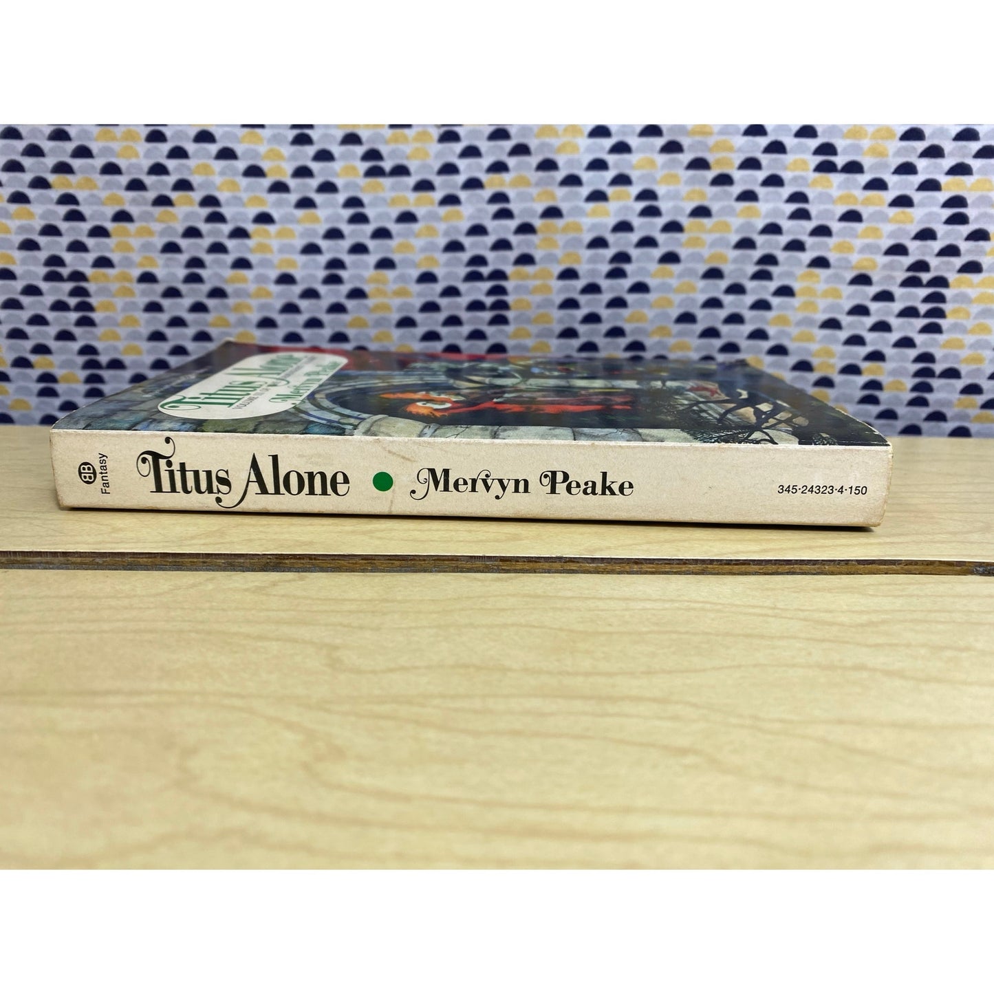 Titus Alone - Gormenghast - Mervyn Peake - Ballantine Fantasy