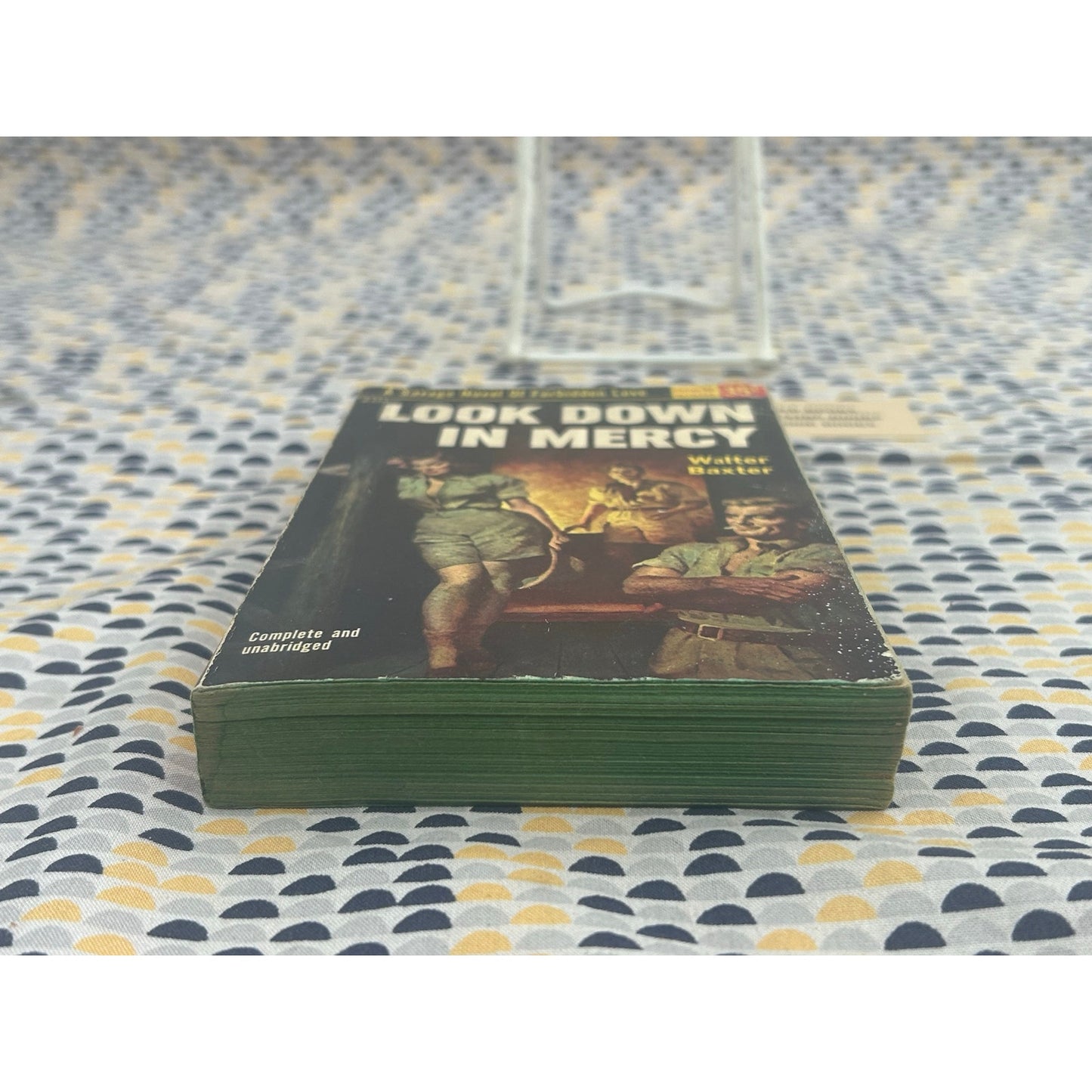 Look Down in Mercy - Walter Baxter - Popular Giant G121 - Sleaze - Vintage Paperbacks