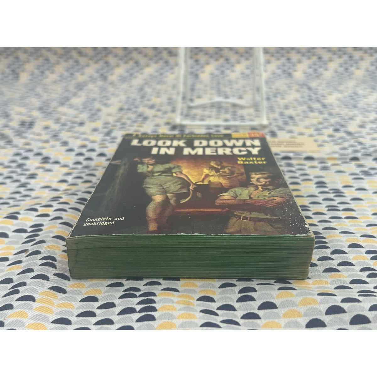 Look Down in Mercy - Walter Baxter - Popular Giant G121 - Sleaze - Vintage Paperbacks