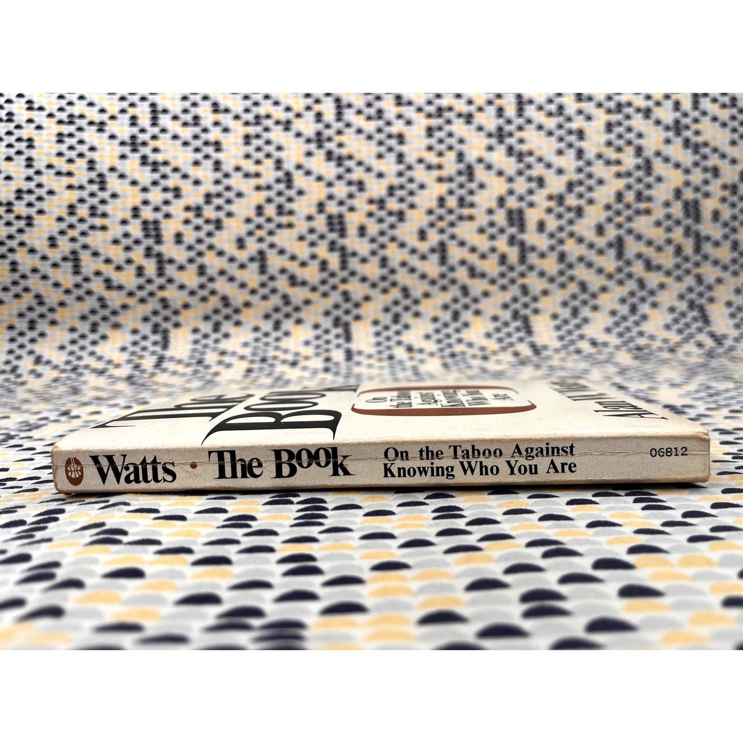 The Book On the Taboo Against Knowing Who You Are - Alan W. Watts - Collier Books - Paperback