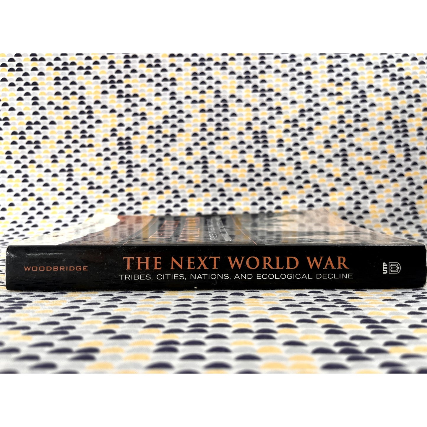 The Next World War: Tribes, Cites, Nations, and Ecological Decline - Roy Woodbridge - University of Toronto Press - Paperback