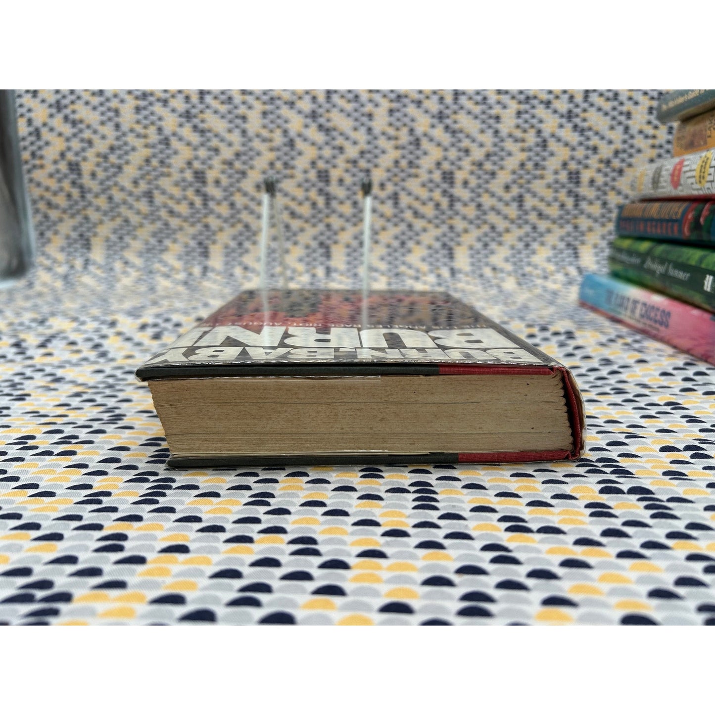 Burn, Baby, Burn! - The Watts Riot - Jerry Cohen and William Murphy - Vintage Hardcover Book - Dutton Edition