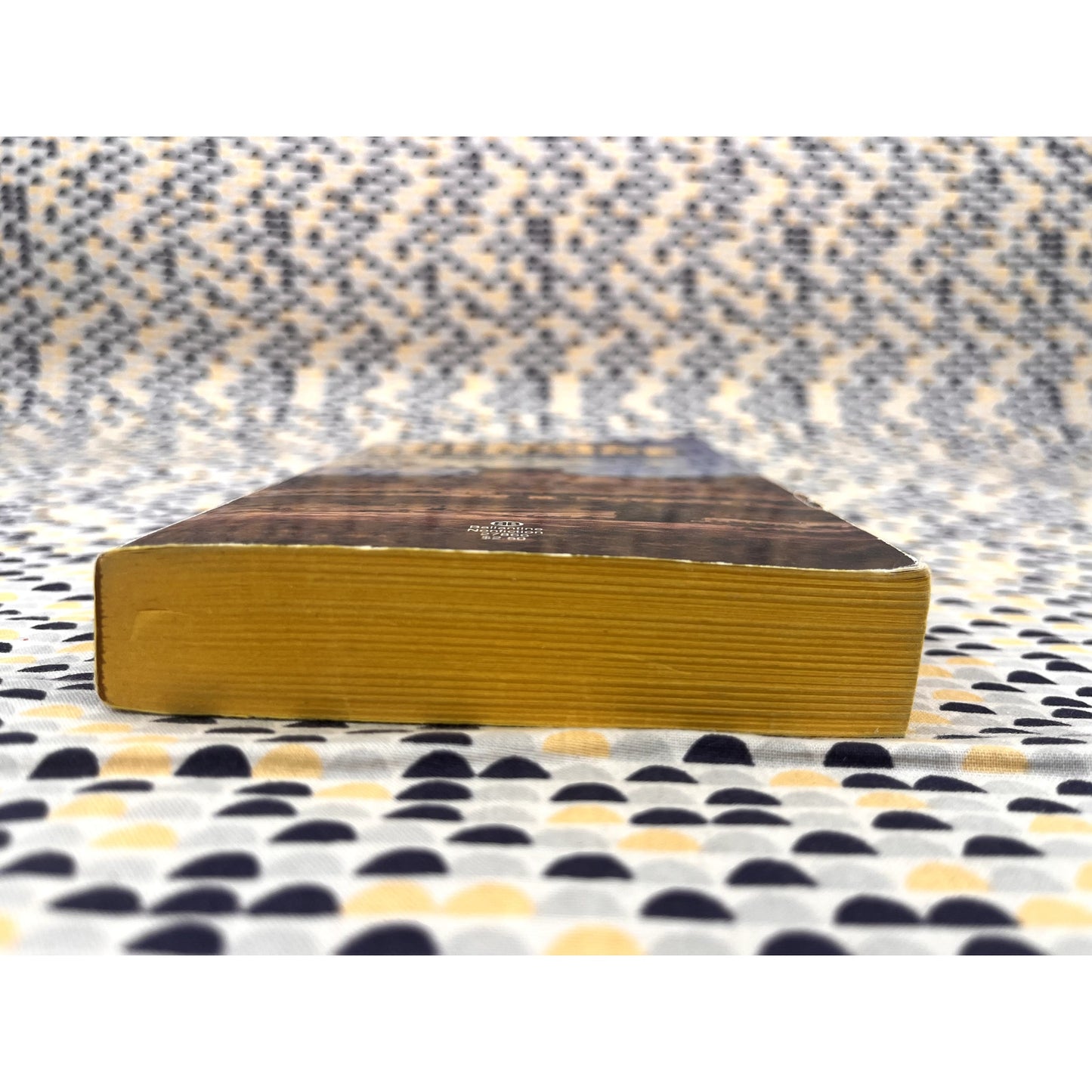 Desert Solitaire - A Season in the Wilderness - Edward Abbey - Vintage Paperback Book