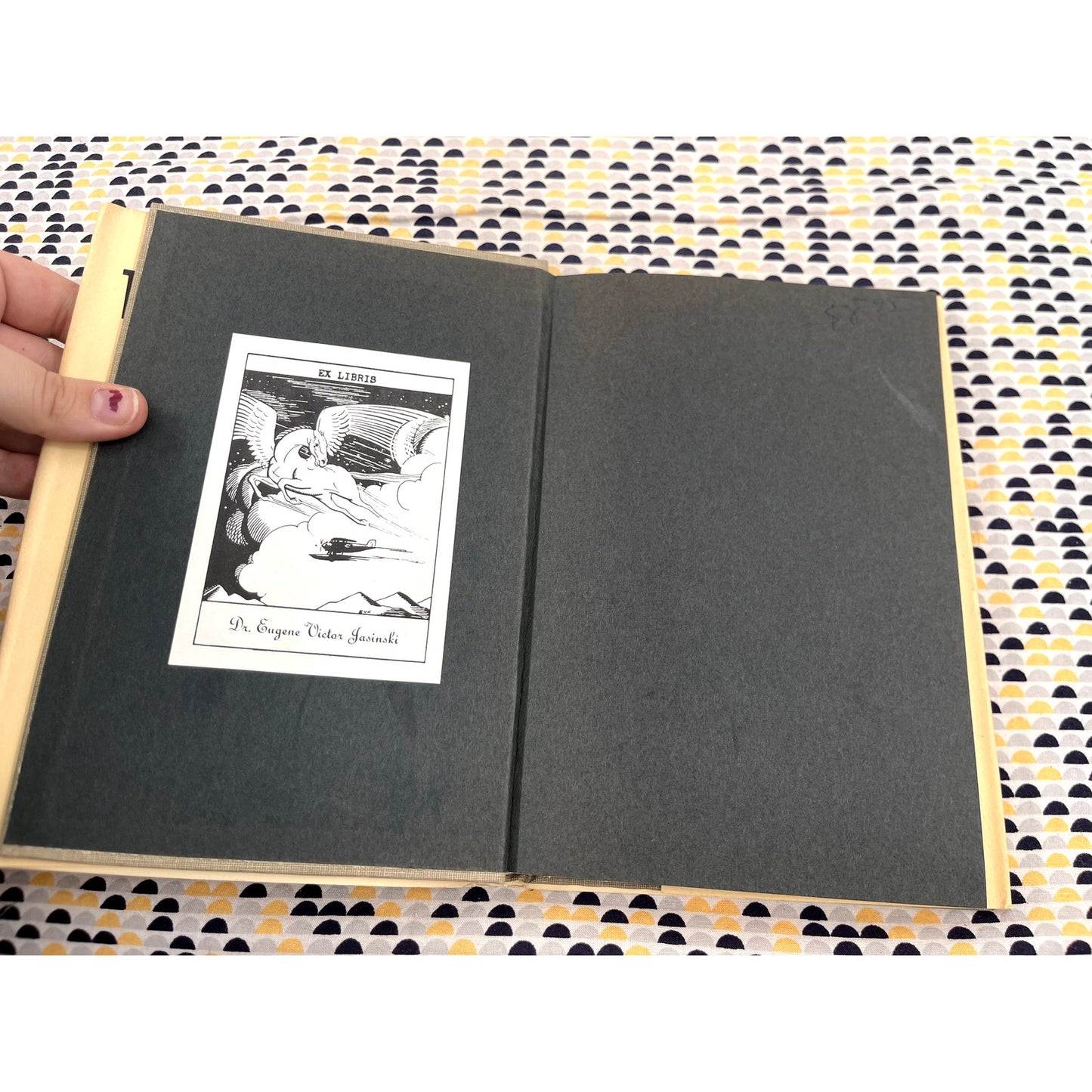 The Chicago Race Riots: July, 1919 - Carl Sandburg - Harcourt, Brace & World Books - Hardcover