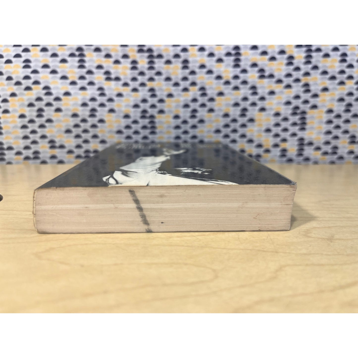 Political Primer - Dick Gregory - Perennial Library - Paperback