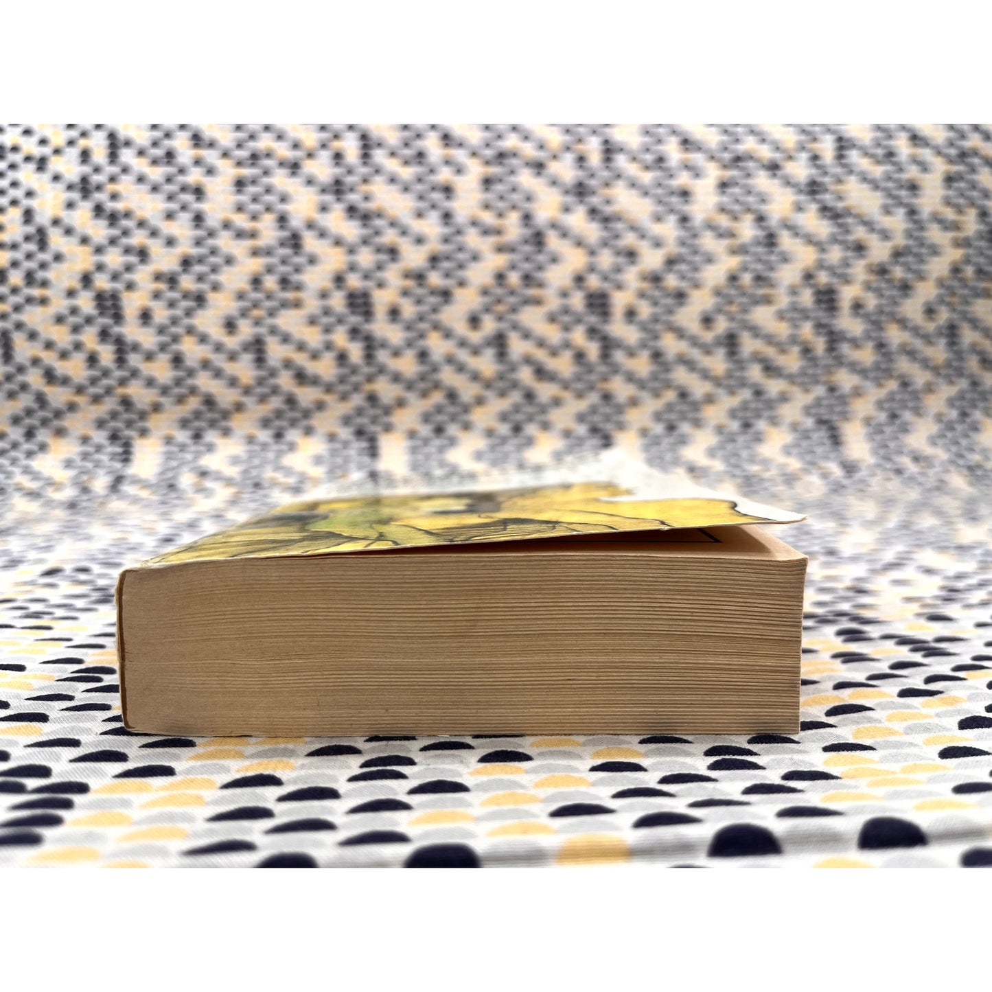 The Interpretation of Dreams - Sigmund Freud - Vintage Paperback Book - Avon