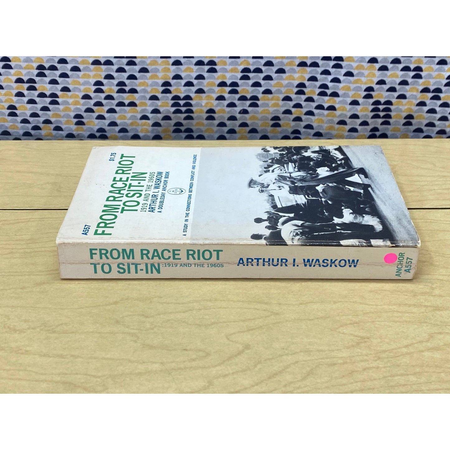 From Race Riot to Sit-In - 1919 and the 1960s - Arthur Waskow - Vintage Paperback Book - 1967 Anchor Edition