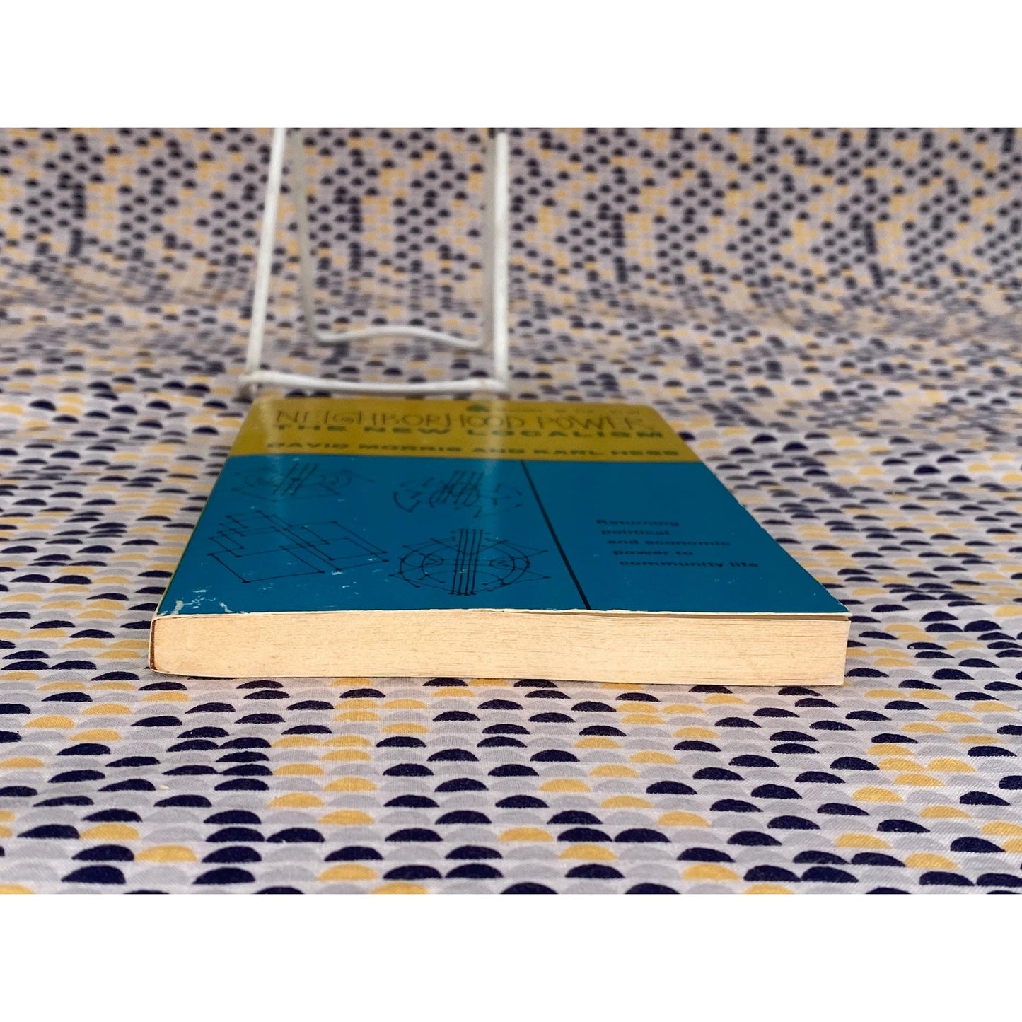 Neighborhood Power: The New Localism - David and Karl Morris and Hess - Vintage Paperback Book - Beacon Press Edition