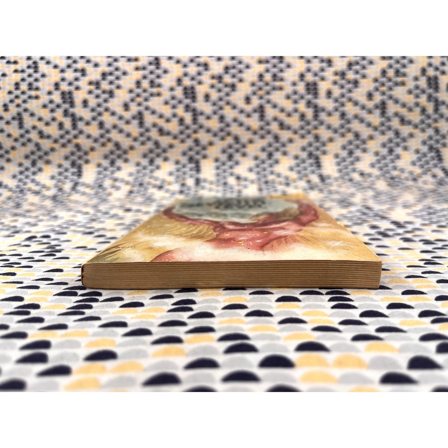 At The Seventh Level - Suzette Haden Elgin - DawBooks - Paperback