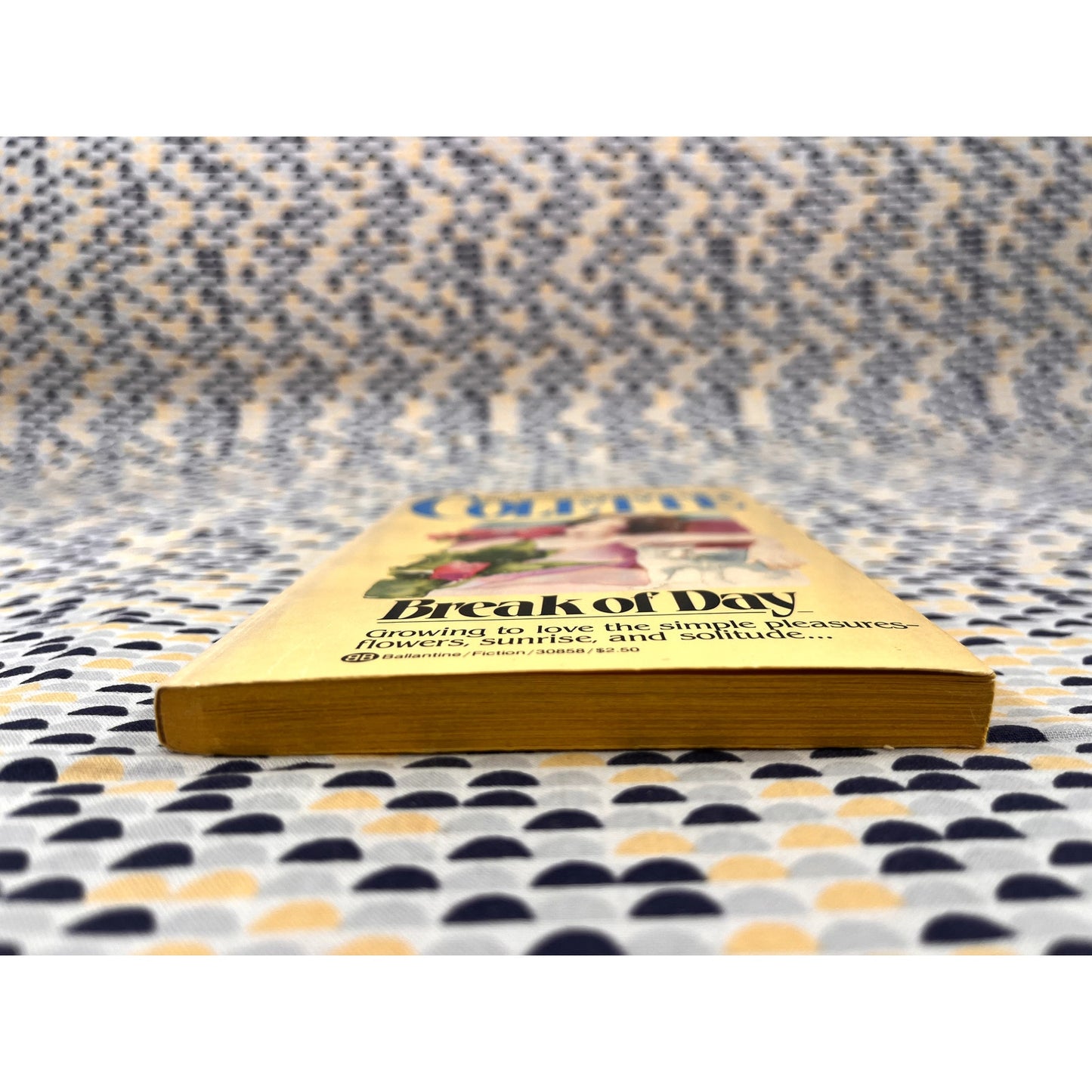 Break of Day - Colette - Ballantine Books - Paperback