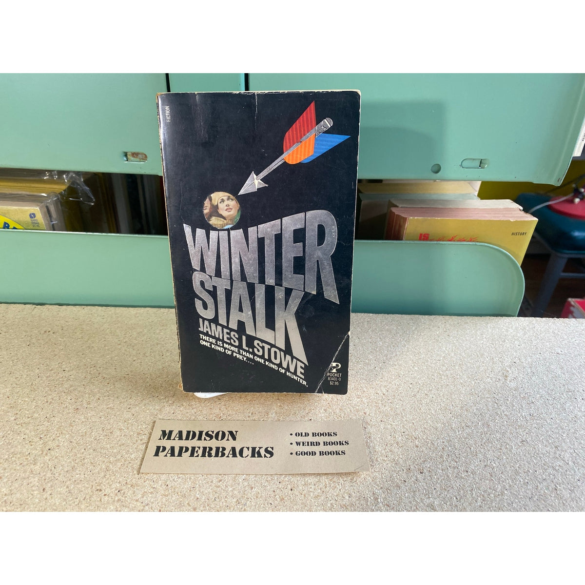 Winter Stalk - James L. Stowe - Pocket Books - Paperback