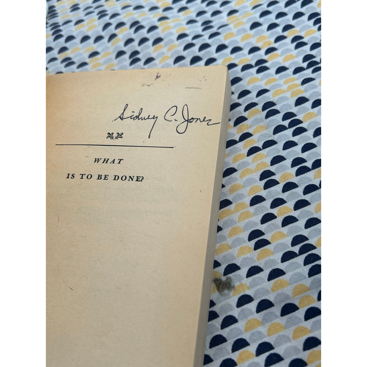 What is to be Done? - N. G. Chernyshevsky - Vintage Russian Library - Edward Gorey Cover