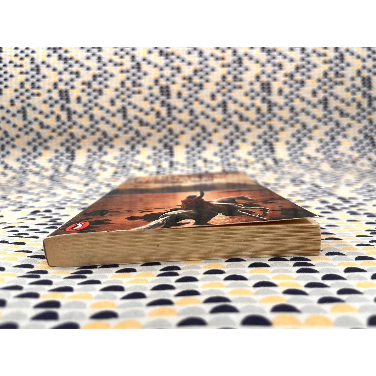 The High Deeds of Finn Mac Cool - Rosemary Sutcliff - Pelican Books - Paperback