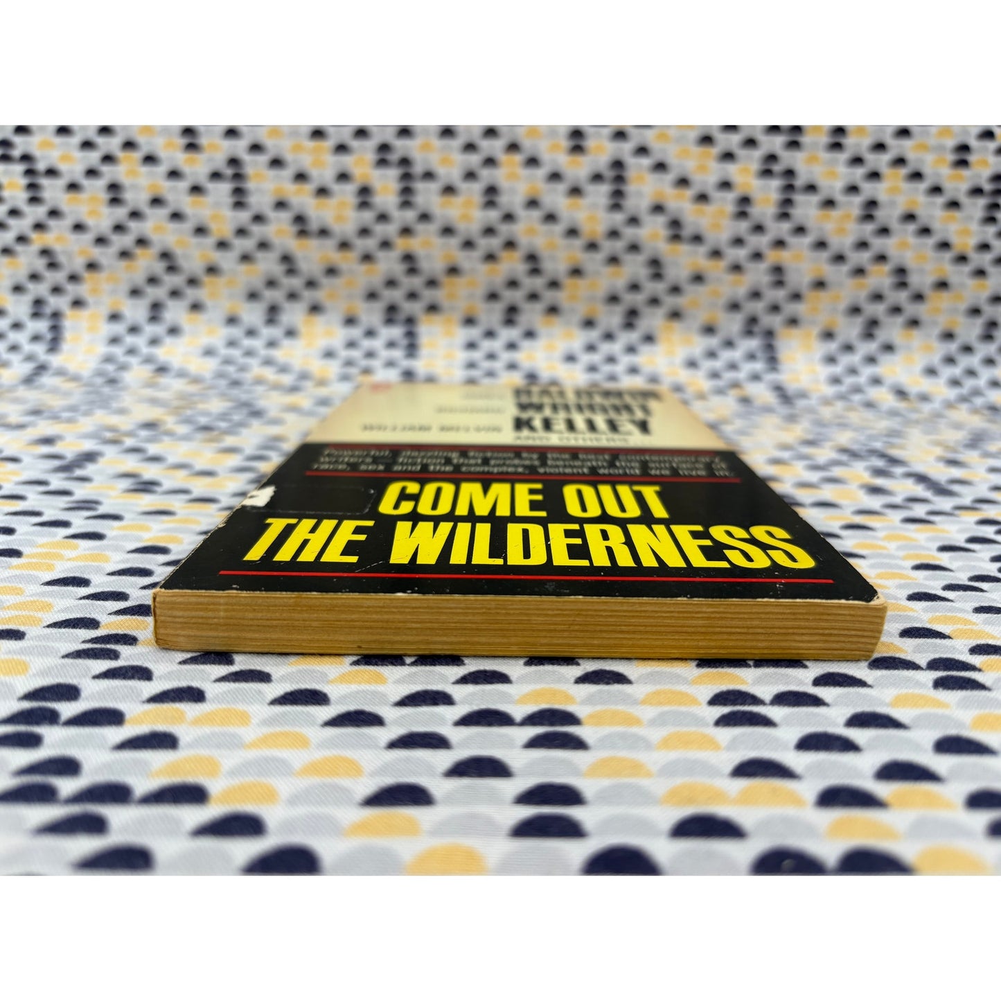 Come Out The Wilderness - James Baldwin - Richard Wright - Popular Library