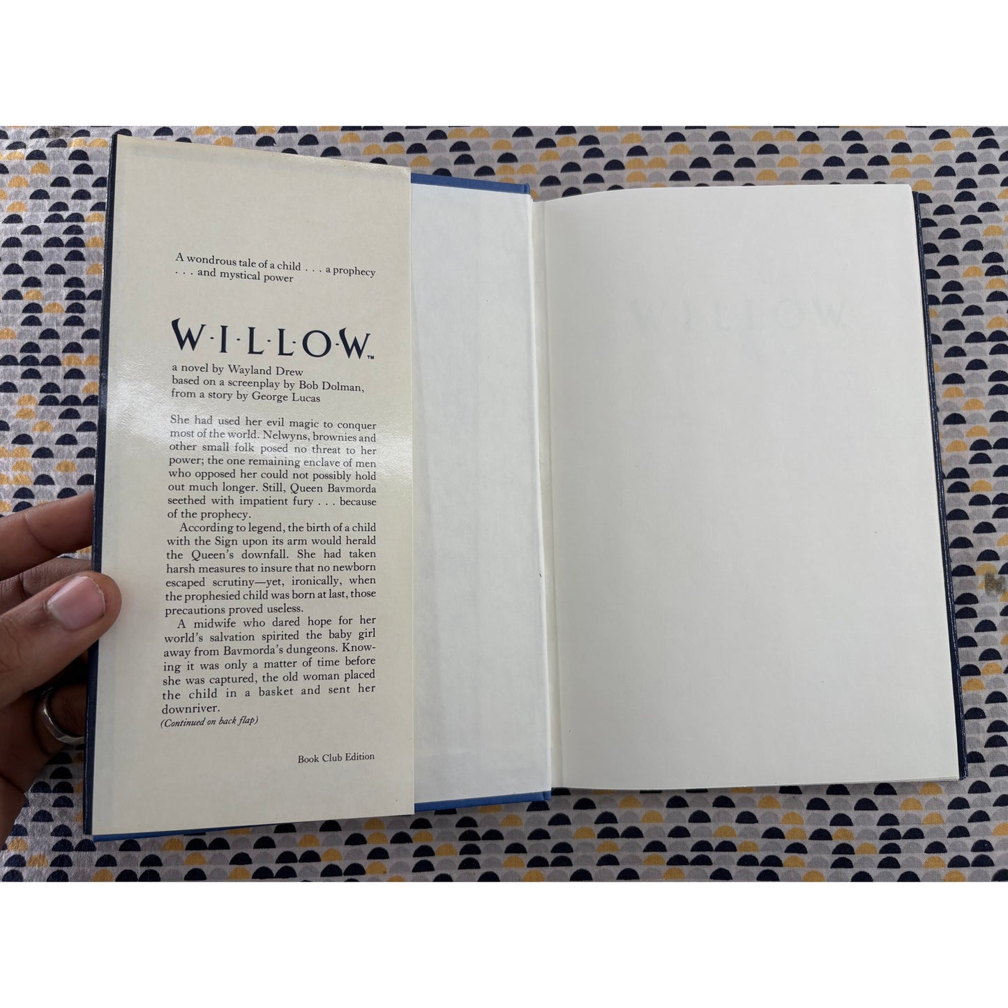 Willow - Wayland Drew - Del Rey - Hardcover