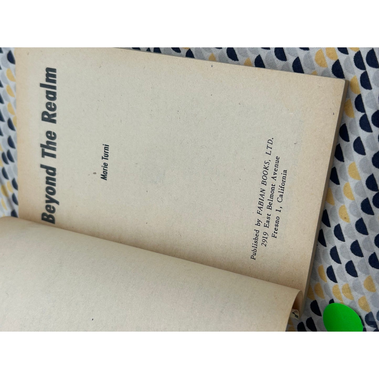 Beyond the Realm - Marie Turni - Fabian Books - Vintage Paperbacks
