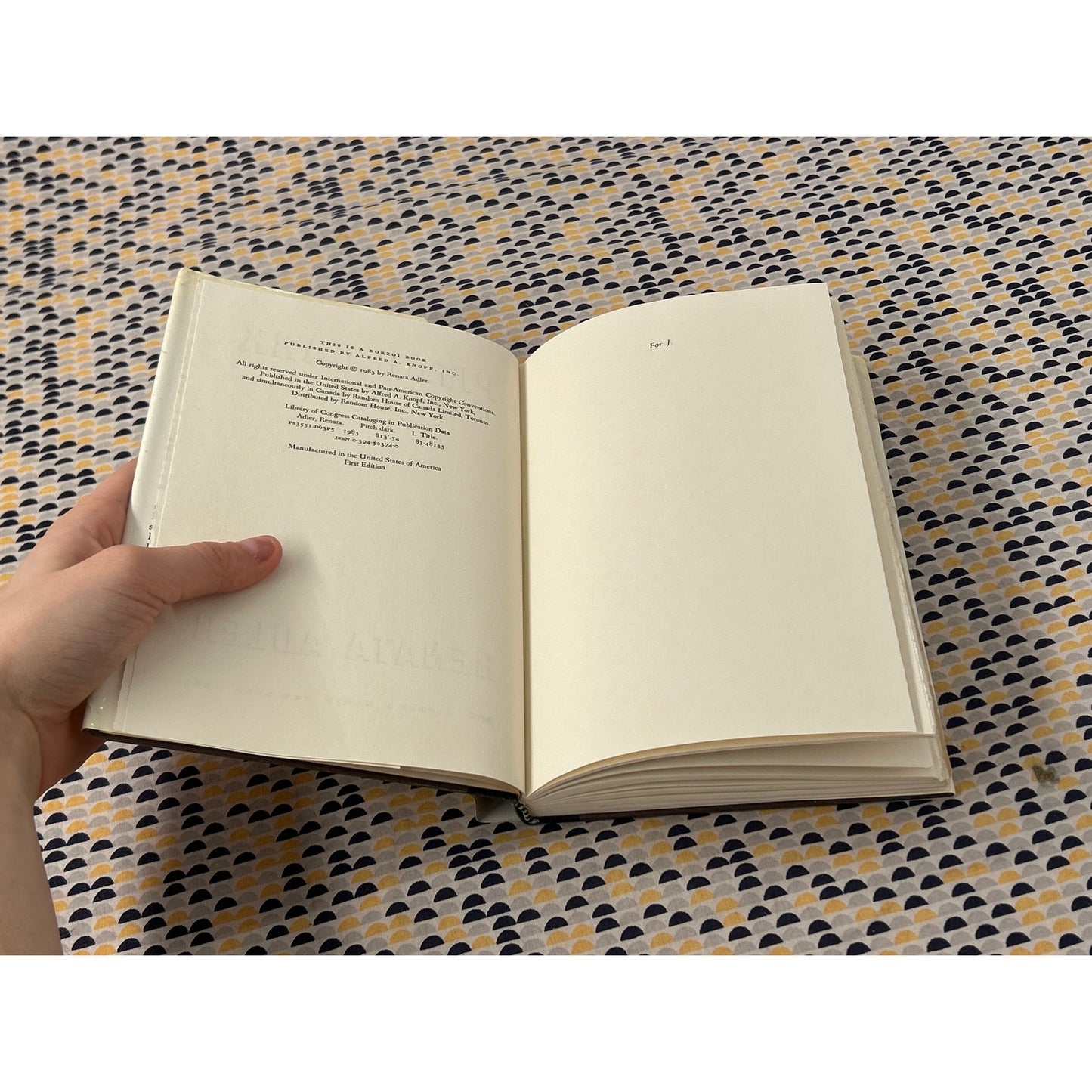 Pitch Dark - Renata Adler - Knopf - Hardcover - 1st Edition