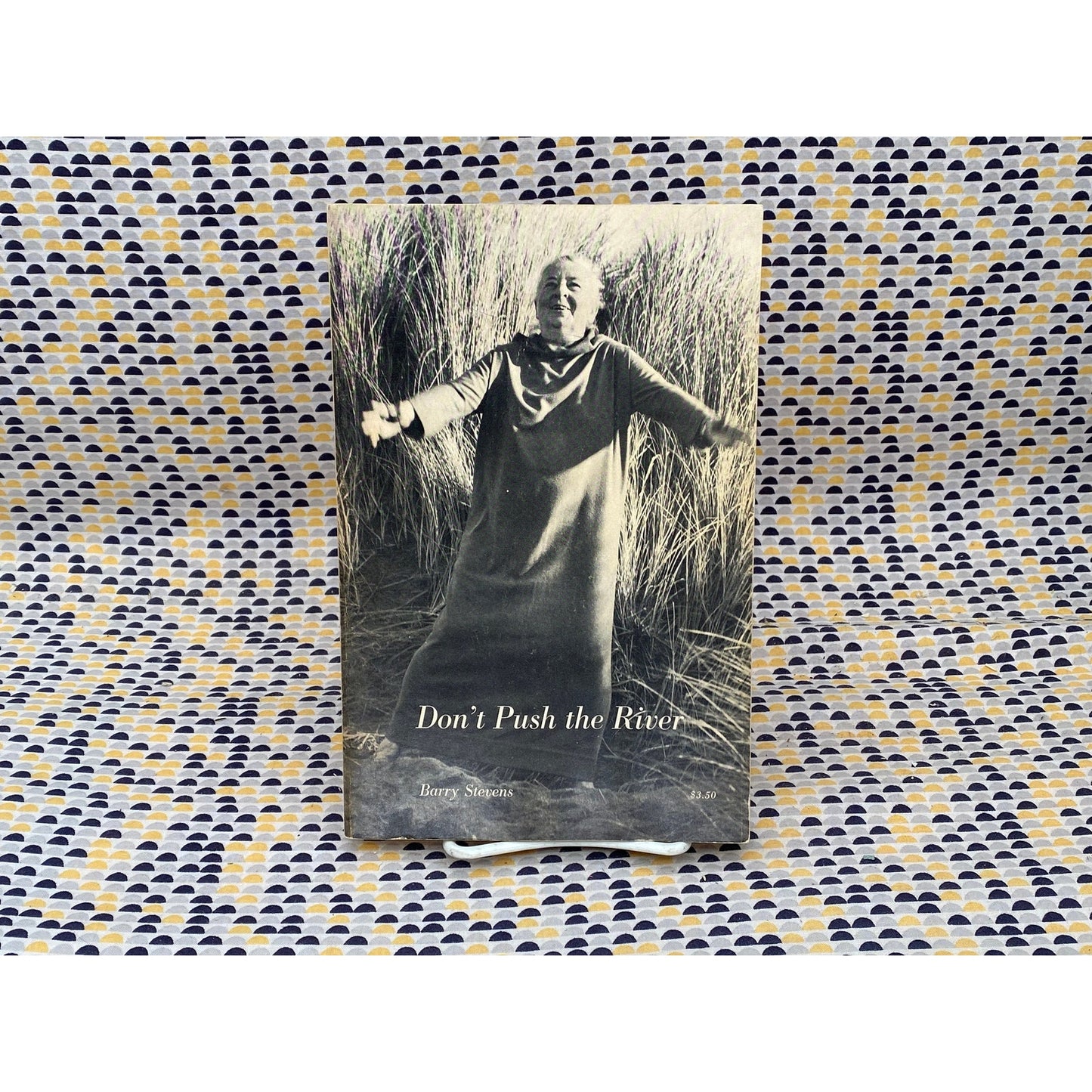 Don't Push The River - Barry Stevens - Real People Press Edition