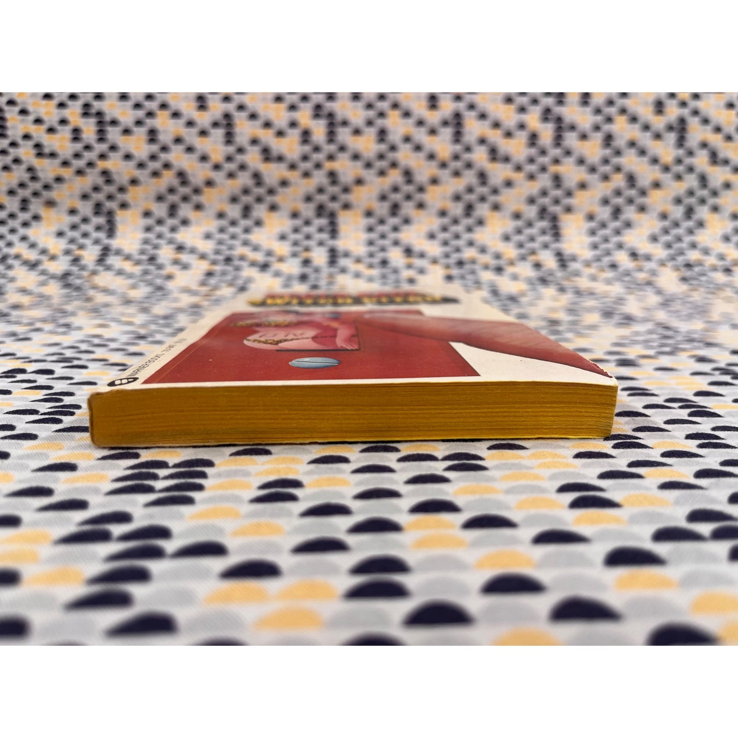 Switch Bitch - Ronald Dahl - Warner Books - Paperback