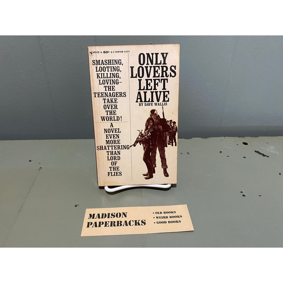 Only Lovers Left Alive - Dave Wallis - Bantam - Paperback